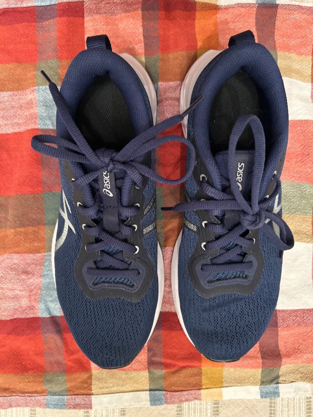 Navy Blue Asics Sneakers W7.5